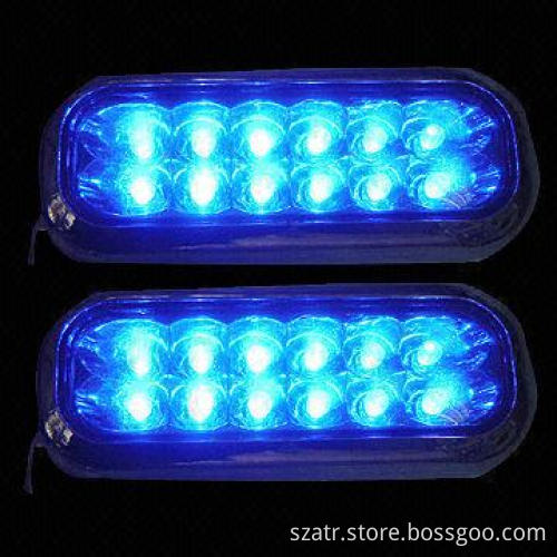 12 LED Lamp with Blue and Clear LED